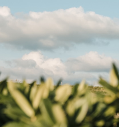 OurMissionPage OurStory Img 2